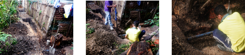 Images of construction of privacy wall in tropical
        backyard