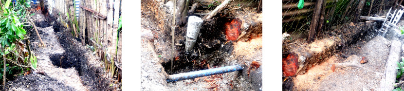 Images of trenches dug for privacy wall in tropical
        backyard