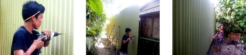 Images of almost compleated privacy wall in tropical
        backyard