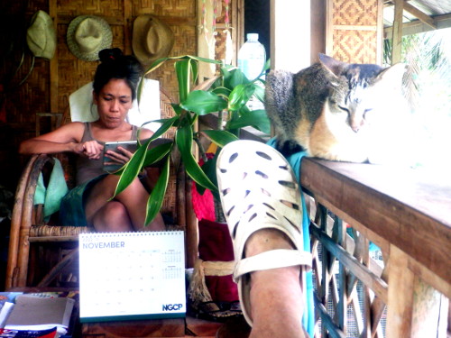 Images of resting on a tropical
        balcony