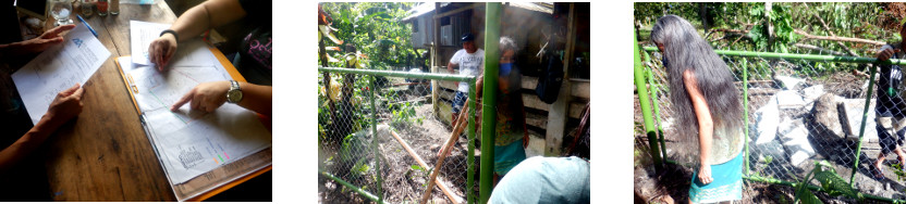 Images of architect demonstrating new
        fence for tropical backyard