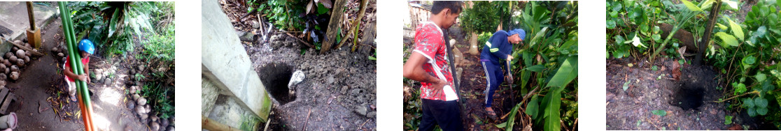 Images of foundations for fence being
        dug in tropical backyard