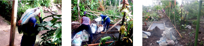 Images of fence posts being installed
        in tropical backyard