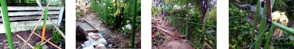 Images of fencing being put up in tropical backyard