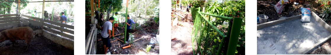 Images of installing perimeter fence
        in tropical backyard