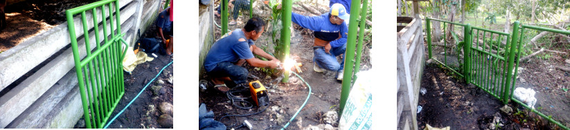 Images of gate being installed in tropical backyard
        fence