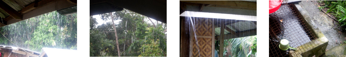 Images of rain in tropical backyard