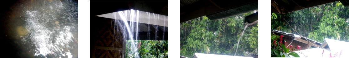 Images of rain in tropical backyard