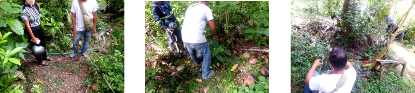 Images of marker stakes being joined
        with string in tropical backyard