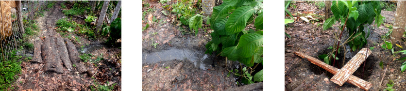 Images of drainage hole dug outside tropical backyard