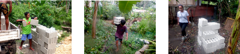 Images of
        delivery of hollow blocks for a wall in tropical backyard