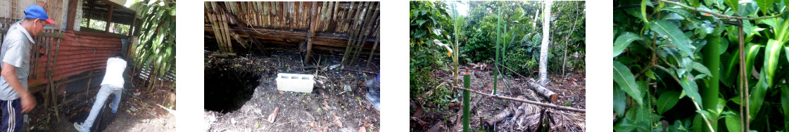 Images of fence construction in tropical backyard