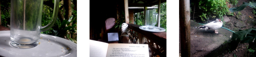 Images of a lazy day on a tropical balcony