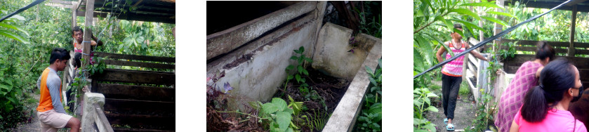 Images of typhoon damaged pig pen
        being measured for repairs