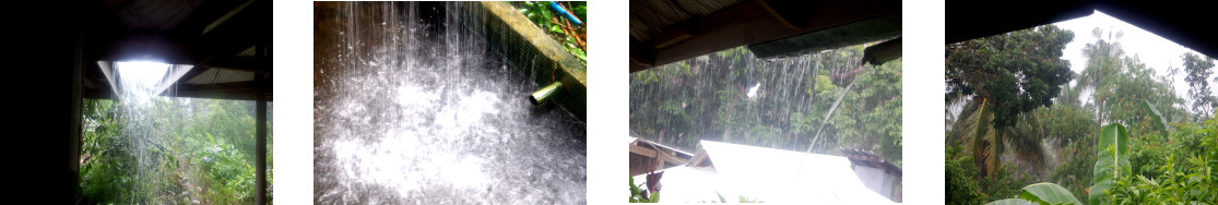 Images of rain in tropical backyard