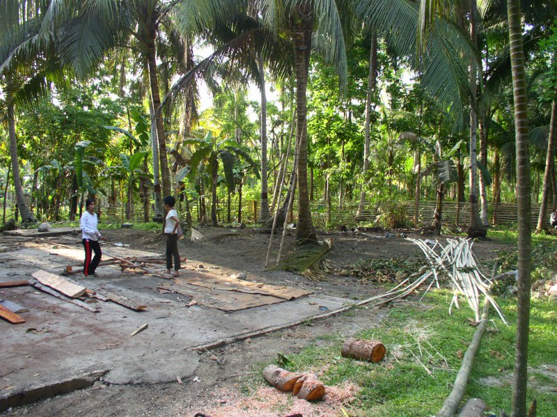 The Cleared area