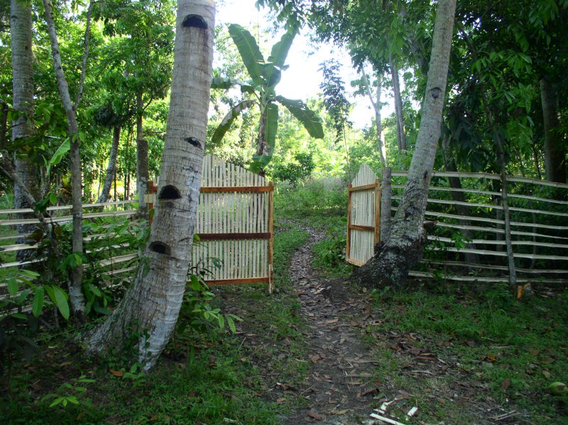 The main Gate