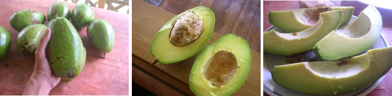 Images of avocados