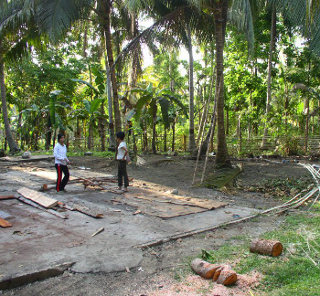 Link to images of clearing land to build wooden
                  house