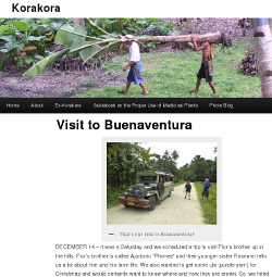 Visual link to "Visit to Buenaventura"