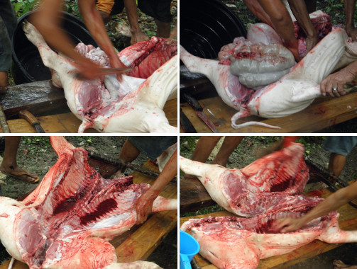 Images of pig carcass being caring cut
        up