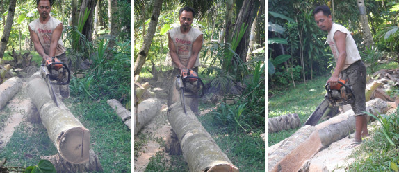 Images of coco lumber being sawn