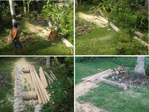 Images of tree trunks being sawn up