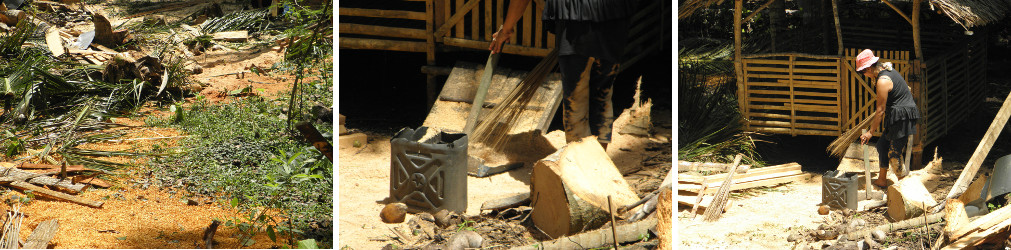 Images of garden being cleared after felling
                coconut trees for lumber