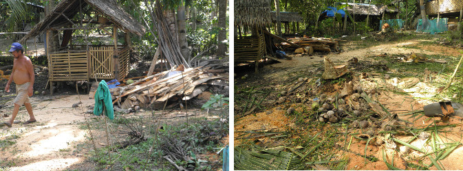 Images of garden being cleared after felling
                coconut trees for lumber