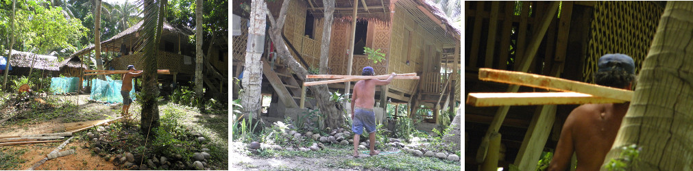 Images of garden being cleared after felling coconut
          trees for lumber