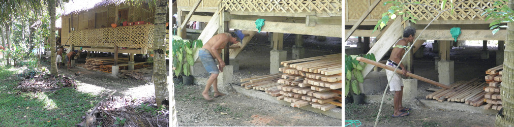 Images of garden being cleared after felling
                coconut trees for lumber