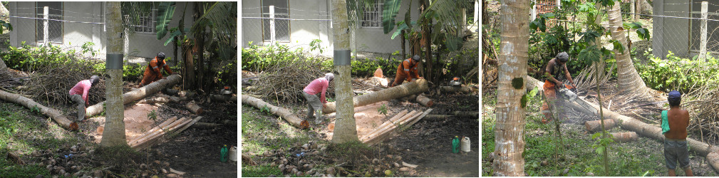 Images of logs being cut up