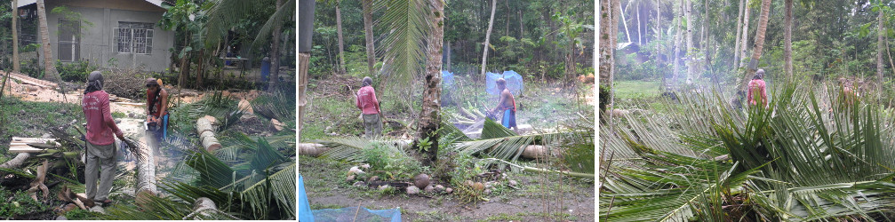 Images of trees being cut up