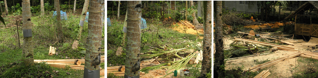 Images of coco lumber being cut by hand