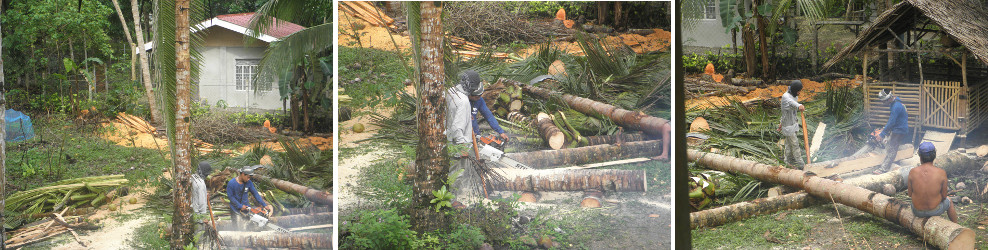 Images of cutting lumber by hand