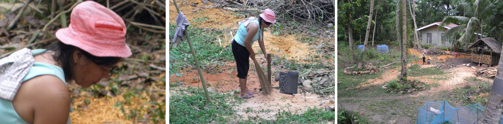 Images of cleaning up a garden after
          felling trees