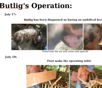 Visual link to "Butlig's Operation" web-page