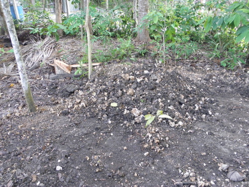 Image of burial mound