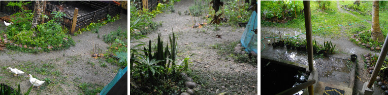 Images of soil around house after
        tropical rain