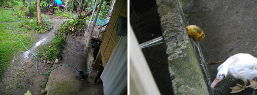 Images of conditionsl around house
        after tropical rain
