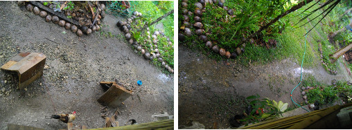 Images of soil around house after
        tropical rain