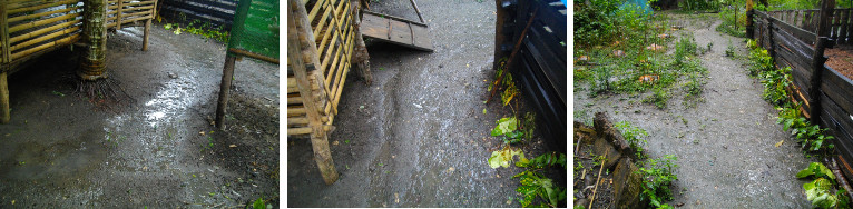 Images of water around house during
        tropical rain