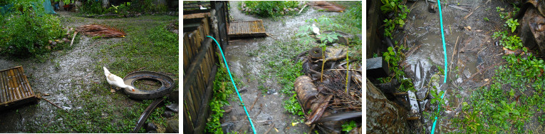 Images of run-off around house after
        tropical rain