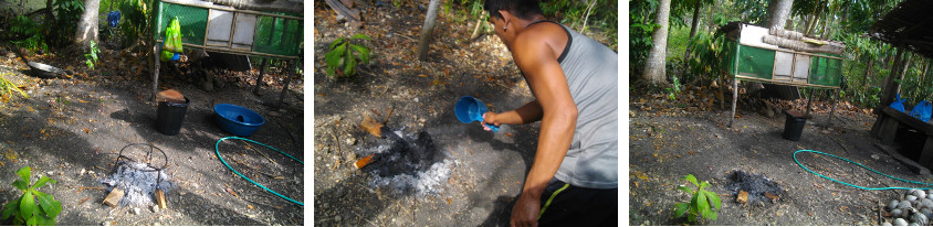 Images of clearing up after slaughtering a pig