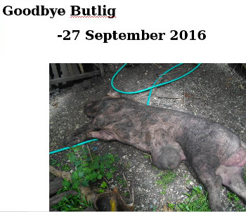 Visual link to Goodbye Butlig" web page