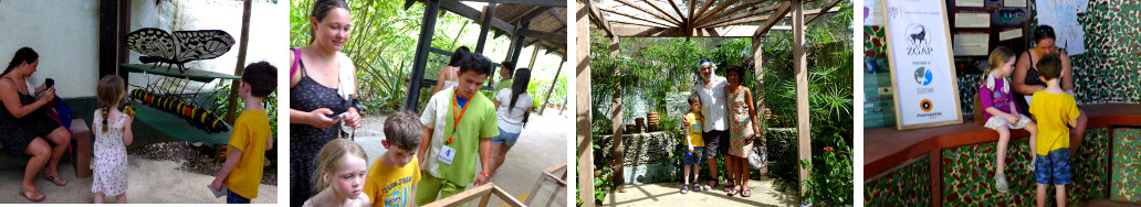 Images of family visiting tropical butterfly farm on
        Bohol