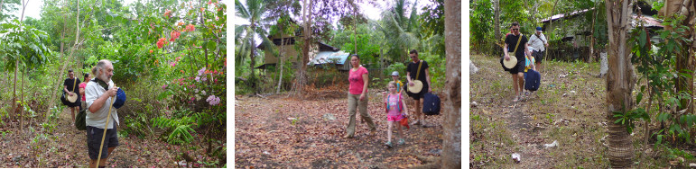 Images of peolple walking through tropical woodlands