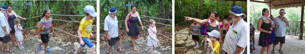 Images of people looking for tarsiers in a sanctuary