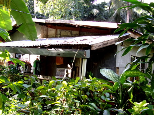 Image of a tropical house