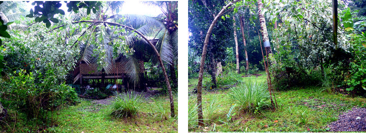 Images of aftermath of tropical July
        storm